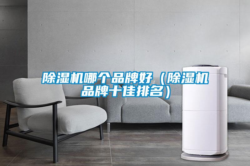 除濕機哪個(gè)品牌好（除濕機品牌十佳排名）
