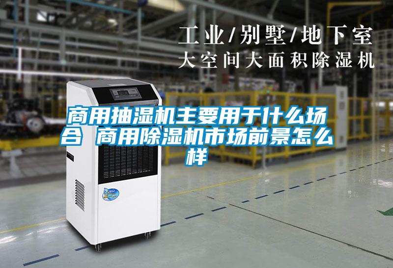 商用抽濕機主要用于什么場(chǎng)合 商用除濕機市場(chǎng)前景怎么樣