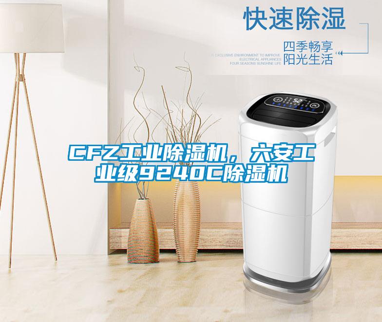 CFZ工業(yè)除濕機，六安工業(yè)級9240C除濕機