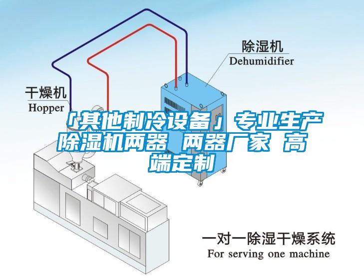 「其他制冷設備」專(zhuān)業(yè)生產(chǎn)除濕機兩器 兩器廠(chǎng)家 高端定制