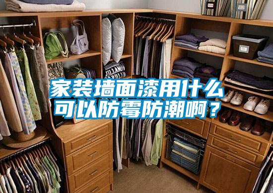 家裝墻面漆用什么可以防霉防潮??？