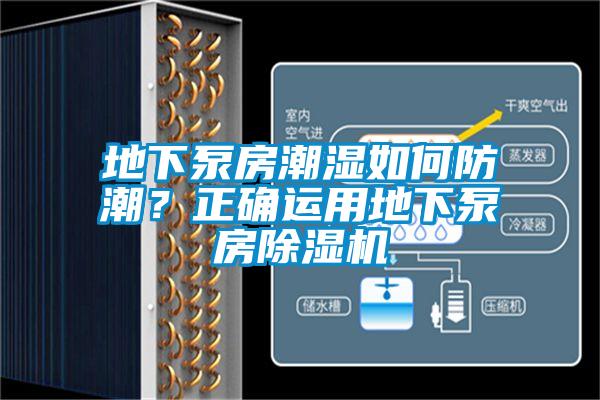 地下泵房潮濕如何防潮？正確運用地下泵房除濕機