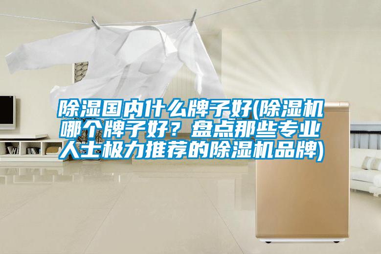 除濕國內什么牌子好(除濕機哪個(gè)牌子好？盤(pán)點(diǎn)那些專(zhuān)業(yè)人士極力推薦的除濕機品牌)
