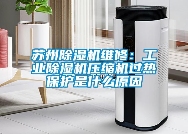 蘇州除濕機維修：工業(yè)除濕機壓縮機過(guò)熱保護是什么原因