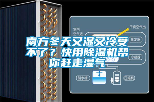 南方冬天又濕又冷受不了？快用除濕機幫你趕走濕氣