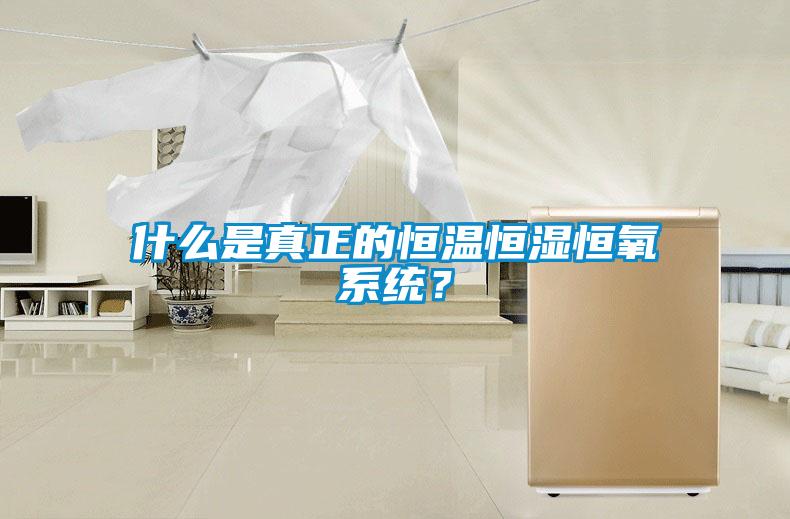什么是真正的恒溫恒濕恒氧系統？