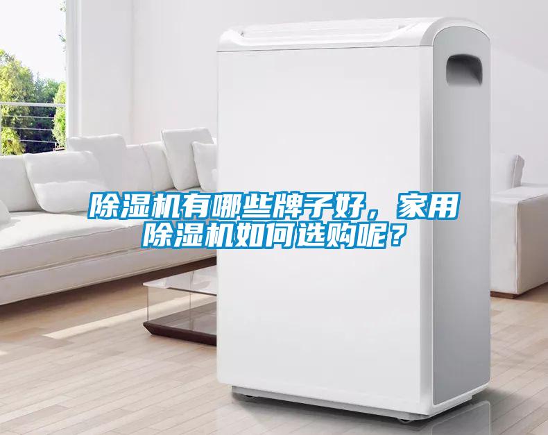 除濕機有哪些牌子好，家用除濕機如何選購呢？