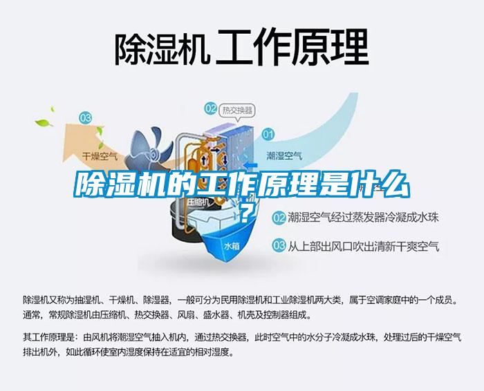 除濕機的工作原理是什么？