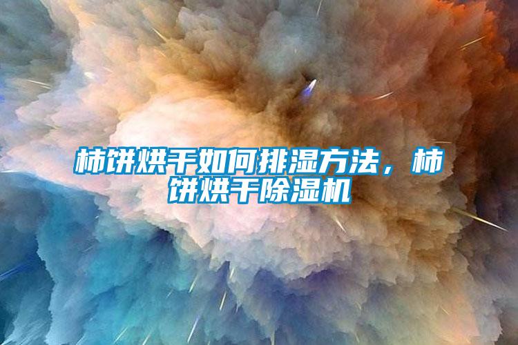 柿餅烘干如何排濕方法，柿餅烘干除濕機