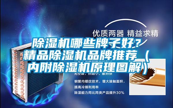 除濕機哪些牌子好？精品除濕機品牌推薦（內附除濕機原理圖解）