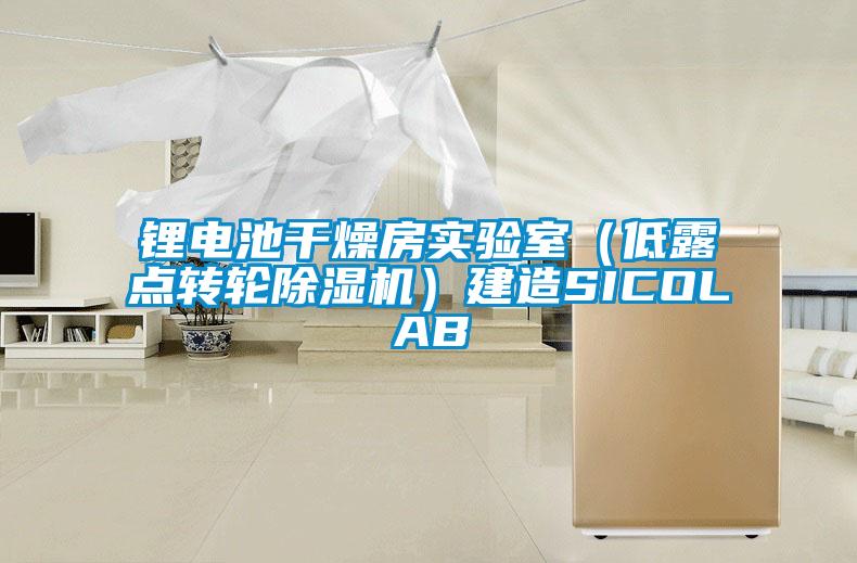 鋰電池干燥房實(shí)驗室（低露點(diǎn)轉輪除濕機）建造SICOLAB