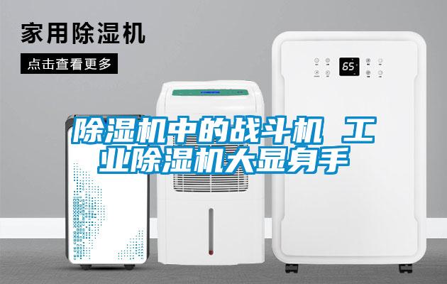 除濕機中的戰斗機 工業(yè)除濕機大顯身手