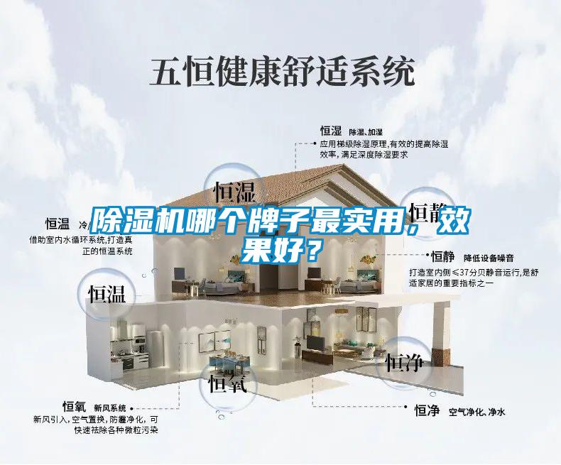 除濕機哪個(gè)牌子最實(shí)用，效果好？