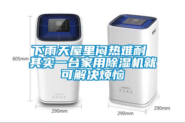 下雨天屋里悶熱難耐 其實(shí)一臺家用除濕機就可解決煩惱
