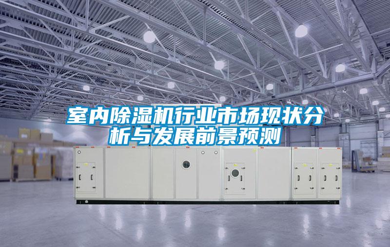 室內除濕機行業(yè)市場(chǎng)現狀分析與發(fā)展前景預測