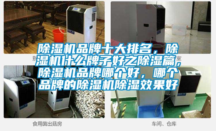 除濕機品牌十大排名，除濕機什么牌子好之除濕篇，除濕機品牌哪個(gè)好，哪個(gè)品牌的除濕機除濕效果好