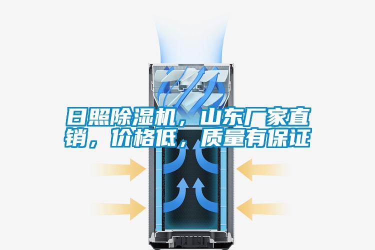 日照除濕機，山東廠(chǎng)家直銷(xiāo)，價(jià)格低，質(zhì)量有保證