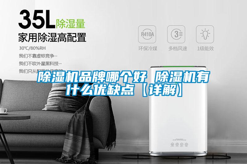 除濕機品牌哪個(gè)好 除濕機有什么優(yōu)缺點(diǎn)【詳解】