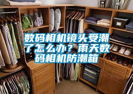 數碼相機鏡頭受潮了怎么辦？雨天數碼相機防潮箱
