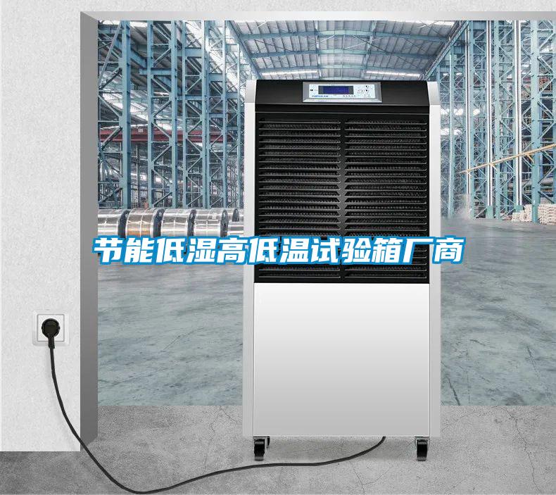 節能低濕高低溫試驗箱廠(chǎng)商