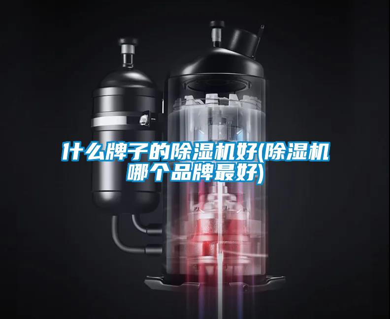 什么牌子的除濕機好(除濕機哪個(gè)品牌最好)