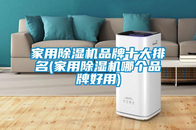 家用除濕機品牌十大排名(家用除濕機哪個(gè)品牌好用)