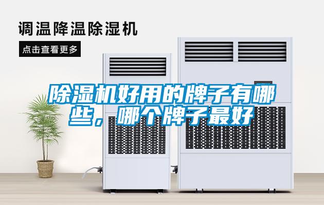 除濕機好用的牌子有哪些，哪個(gè)牌子最好