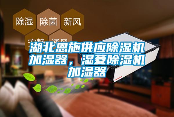 湖北恩施供應除濕機加濕器，濕菱除濕機加濕器