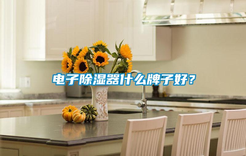 電子除濕器什么牌子好？