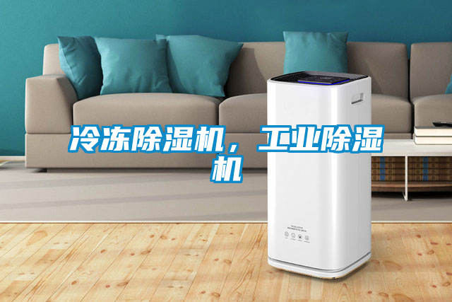 冷凍除濕機，工業(yè)除濕機