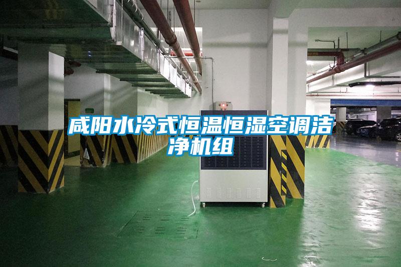 咸陽(yáng)水冷式恒溫恒濕空調潔凈機組