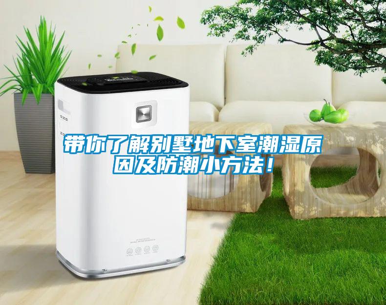 帶你了解別墅地下室潮濕原因及防潮小方法！