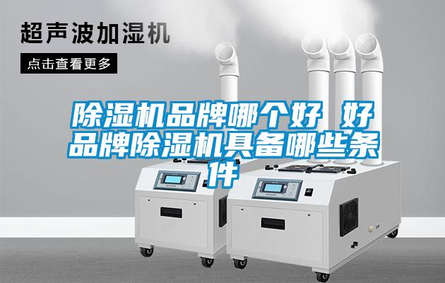 除濕機品牌哪個(gè)好 好品牌除濕機具備哪些條件