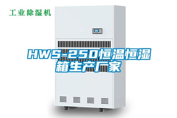 HWS-250恒溫恒濕箱生產(chǎn)廠(chǎng)家