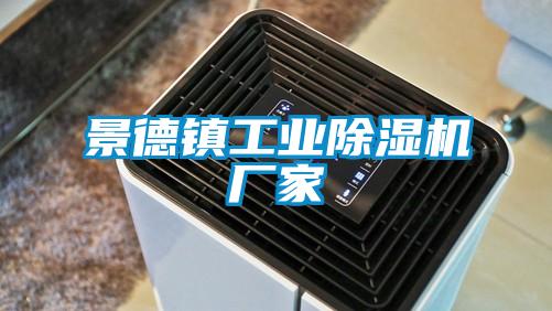 景德鎮工業(yè)除濕機廠(chǎng)家