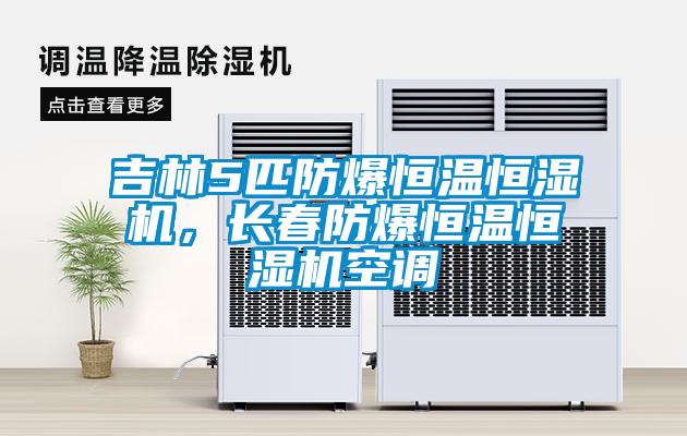 吉林5匹防爆恒溫恒濕機，長(cháng)春防爆恒溫恒濕機空調