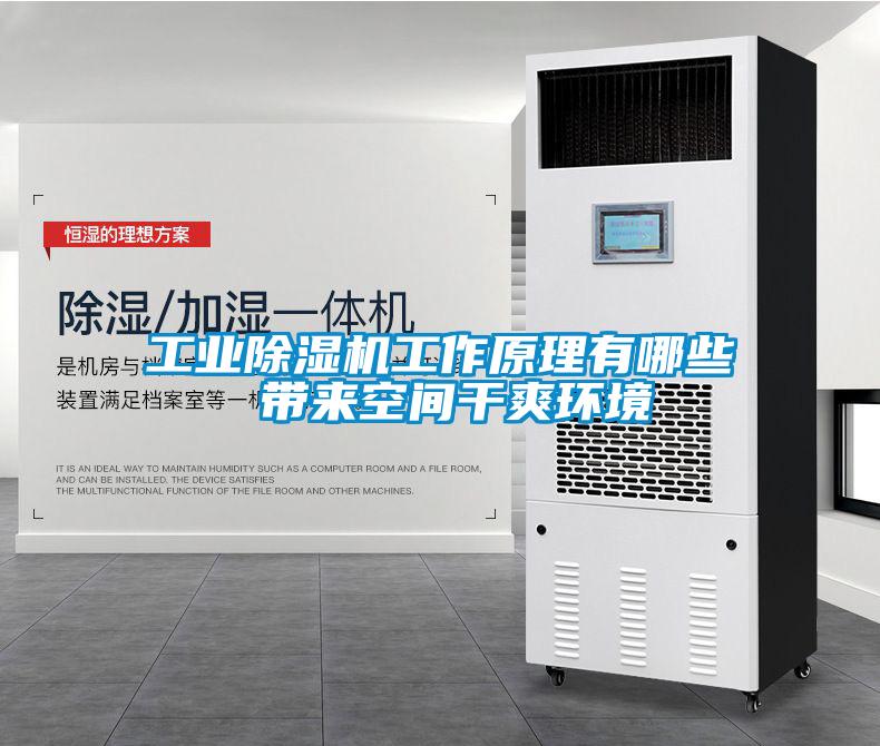 工業(yè)除濕機工作原理有哪些 帶來(lái)空間干爽環(huán)境