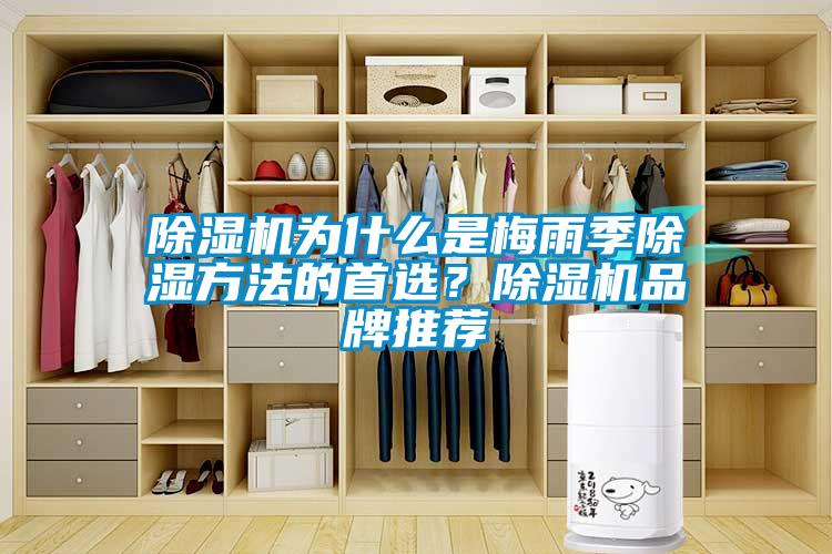 除濕機為什么是梅雨季除濕方法的首選？除濕機品牌推薦