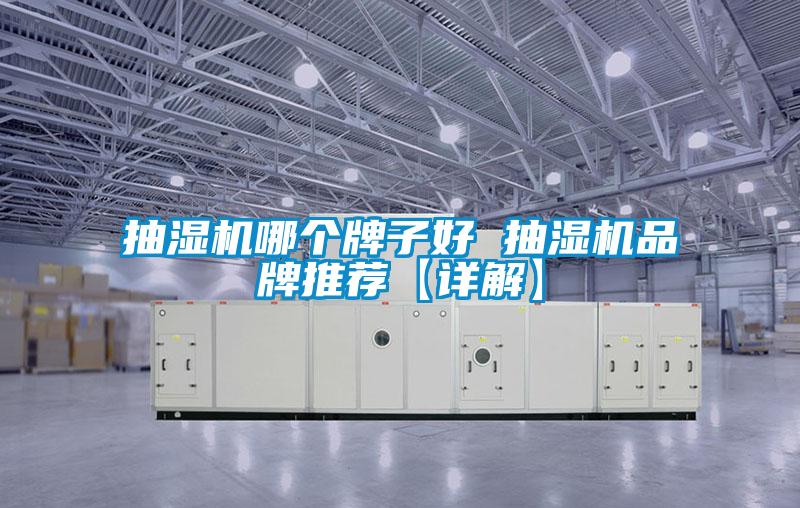 抽濕機哪個(gè)牌子好 抽濕機品牌推薦【詳解】