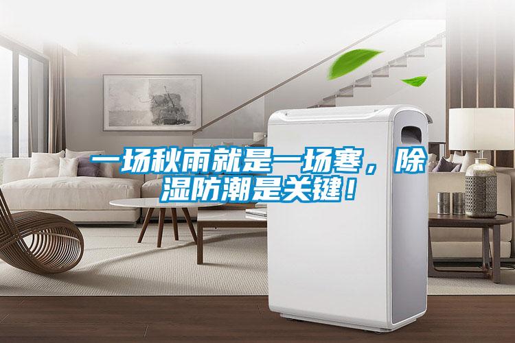 一場(chǎng)秋雨就是一場(chǎng)寒，除濕防潮是關(guān)鍵！