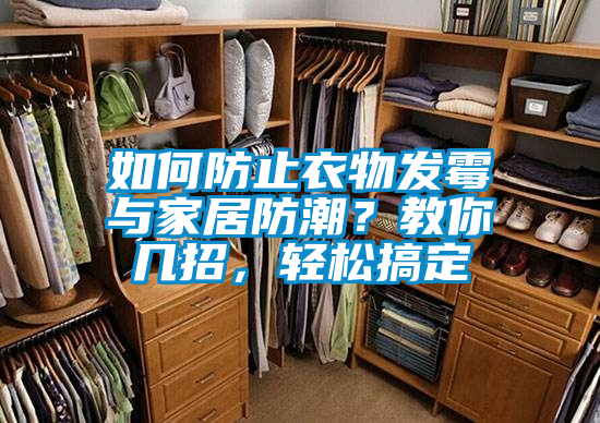 如何防止衣物發(fā)霉與家居防潮？教你幾招，輕松搞定