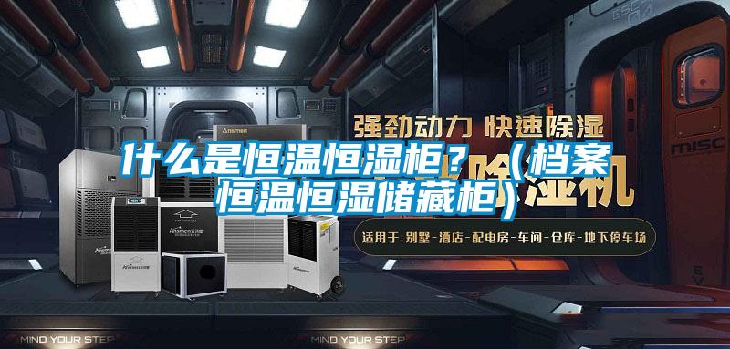 什么是恒溫恒濕柜？（檔案恒溫恒濕儲藏柜）
