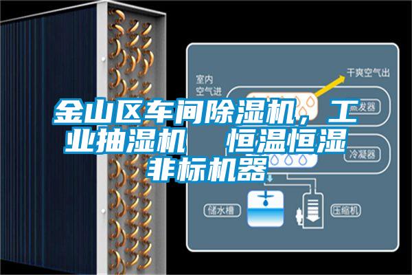 金山區車(chē)間除濕機，工業(yè)抽濕機  恒溫恒濕非標機器