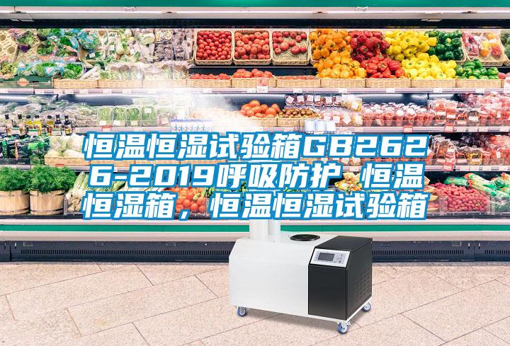 恒溫恒濕試驗箱GB2626-2019呼吸防護 恒溫恒濕箱，恒溫恒濕試驗箱