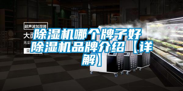 除濕機哪個(gè)牌子好 除濕機品牌介紹【詳解】