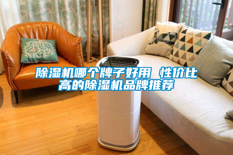 除濕機哪個(gè)牌子好用 性?xún)r(jià)比高的除濕機品牌推薦
