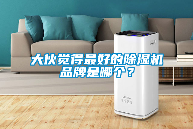 大伙覺(jué)得最好的除濕機品牌是哪個(gè)？