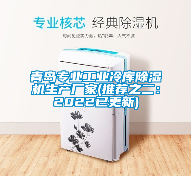 青島專(zhuān)業(yè)工業(yè)冷庫除濕機生產(chǎn)廠(chǎng)家(推薦之二：2022已更新)