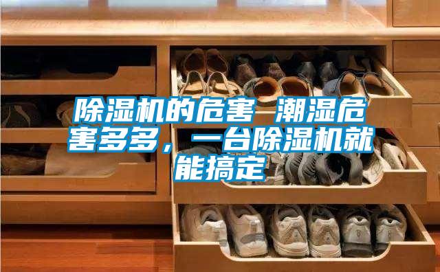 除濕機的危害 潮濕危害多多，一臺除濕機就能搞定