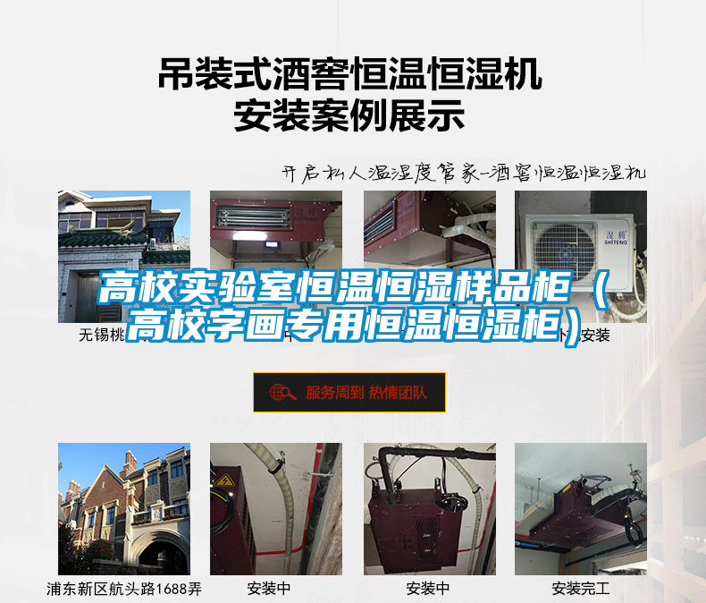 高校實(shí)驗室恒溫恒濕樣品柜（高校字畫(huà)專(zhuān)用恒溫恒濕柜）
